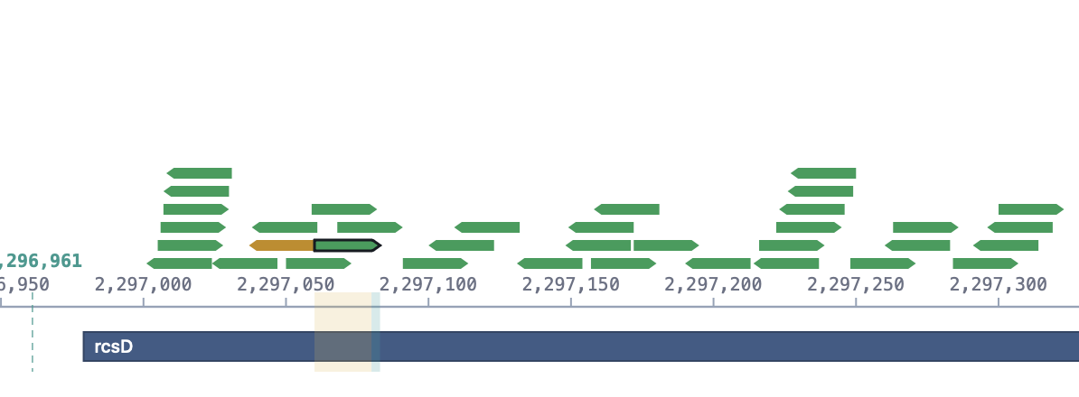 SeqAtlas development detail showing guide candidates as arrows along genomic coordinates, a selected candidate and the annotated sequence below.