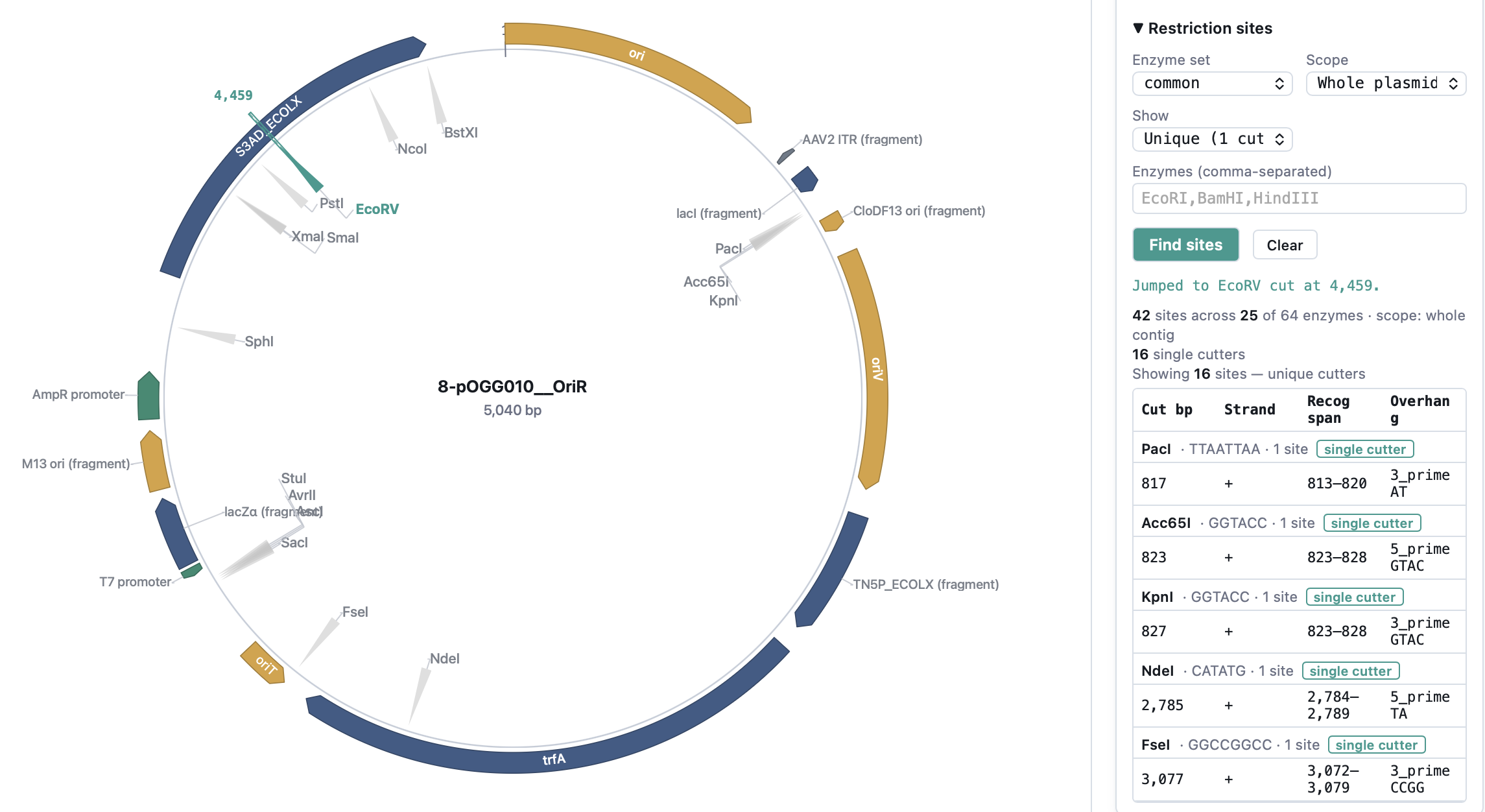 Restriction sites marked around a 5,040 bp plasmid beside a list of enzymes, cut positions and overhangs in the earlier SeqAtlas browser interface.